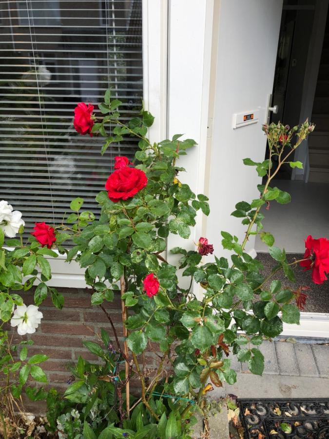 Vakantiewoning In Middelburg Zeeland ภายนอก รูปภาพ